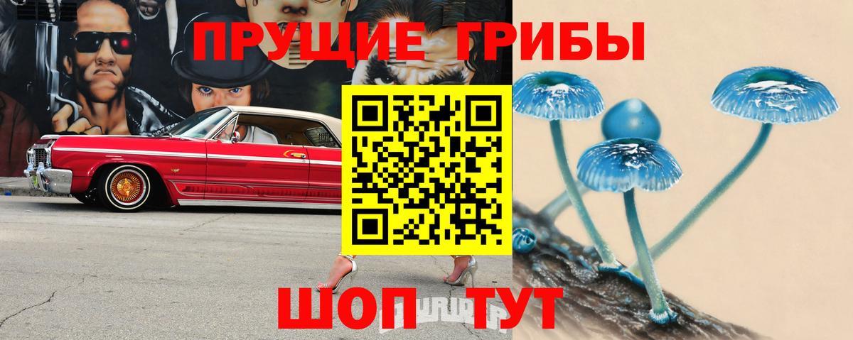 Псилоцибиновые грибы GOLDEN TEACHER Острогожск