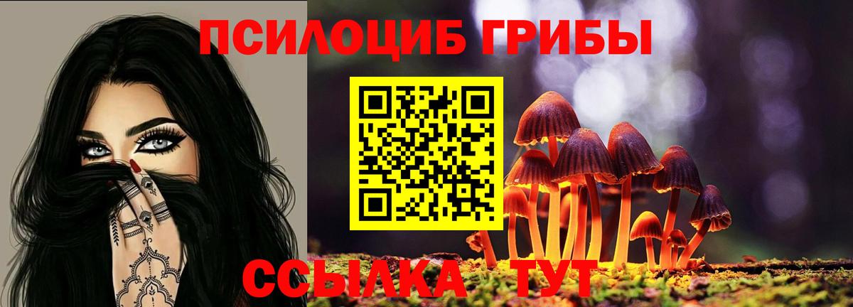 Псилоцибиновые грибы GOLDEN TEACHER  Вход с VPN  Острогожск 